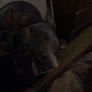 Meet your Posher, Wendy